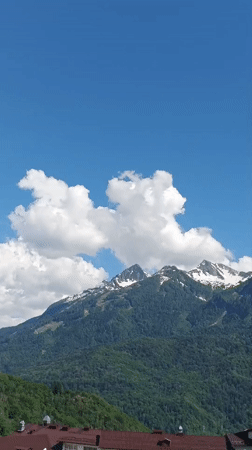 Snow-capped peaks and artificial flowers in Krasnaya Polyana