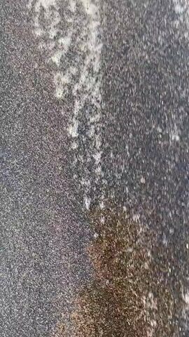A video shows a close-up view of foamy water from the ocean washing onto a dark-colored beach. The camera pans across the scene, capturing the texture of the bubbles and the way the water interacts with the sand. The lighting suggests it is daytime, possibly with sunlight reflecting off the water's surface.