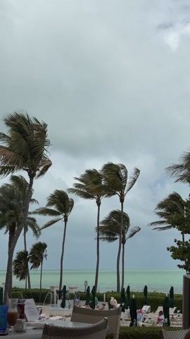 The video shows a scene at a beachside resort on a cloudy day. Palm trees sway vigorously in the wind in the foreground, partially obscuring a view of a light green ocean. In front of the palm trees, there is a dining area with tables and chairs. Some people are seated at the tables, while others are lounging on beach chairs near a small fountain. The overall atmosphere suggests a windy, overcast day at a tropical location.