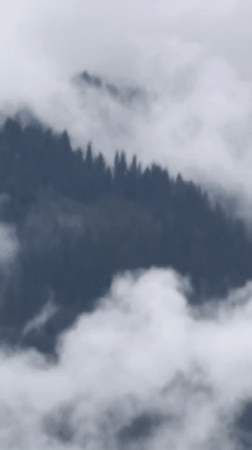 Misty morning in Vashisht: clouds, forests, and village life