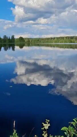 The video displays a tranquil natural landscape. The focal point is a large body of water, likely a lake, with a deep blue hue reflecting the sky. The water's surface is remarkably still, mirroring the white and gray clouds that drift across a bright blue sky. The far shore of the lake is lined with a dense forest, with trees of varying shades of green. The reflection of the forest and the clouds creates a symmetrical and almost surreal visual effect across the water. The foreground features the edge of the land, with some green foliage and a few dry grasses visible. The lighting suggests it is daytime, possibly late afternoon or early evening, given the soft quality of the light and the presence of both sunlight and shadows on the clouds. There are no people or animals visible in the frame. The overall impression is one of peace and natural beauty.