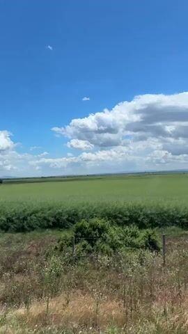 The video presents a roadside view of a grassy field under a blue sky dotted with puffy white clouds. A simple wire fence runs along the roadside. The field appears to be primarily green, with patches of brown and other vegetation. The sky is a vibrant blue, and the clouds create a picturesque scene.