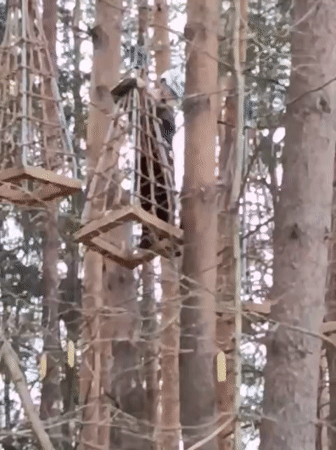 Park visitor documents outdoor recreation activities in Odintsovo