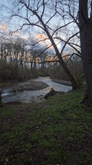 Dusk river scene captured through bare trees in Bulgaria