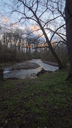 Dusk river scene captured through bare trees in Bulgaria