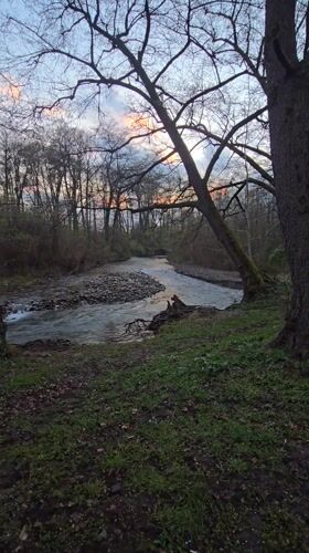 Dusk river scene captured through bare trees in Bulgaria