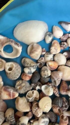 Early morning beach artistry documented in Choeng Mon, Thailand
