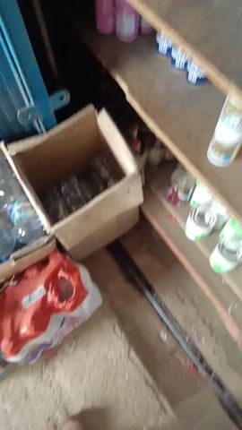 The video shows an indoor scene that appears to be a storage area or a small shop. The focus is on shelves filled with various products, primarily canned goods and bottles. On the left side of the frame, there are several cardboard boxes containing bottles, some of which appear to be water bottles, and other items. One box is open and filled with what looks like packaged goods. In the foreground, there is a red and white object, possibly a bag or packaging, and some loose items on the floor. The shelves are wooden and somewhat rustic in appearance, with products arranged in an organized, albeit slightly cluttered, manner. The lighting is moderate, suggesting an indoor environment. The camera is handheld and moves slightly, giving a dynamic view of the scene.