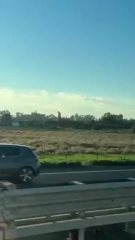 The video shows a view from a vehicle, possibly a train or car, moving along a highway. The view is of a rural landscape with fields, trees, and a bright blue sky. There's a metal guardrail visible in the foreground, indicating that the camera is inside a moving vehicle. The focus is on the scenery passing by, which consists of a mix of green fields and patches of brown vegetation, with trees scattered in the background. The overall impression is of traveling through a peaceful countryside on a clear day.