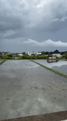 North Kuta scenes show flooded rice fields, street life