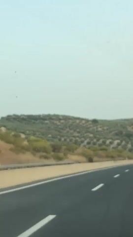 A blurred video shows a highway with olive groves on a hillside in the background. A white line marks the edge of the road, and dashed white lines indicate lanes. The sky is hazy and light. A dark car passes by in the distance. The video is shaky, suggesting it was filmed from a moving vehicle.