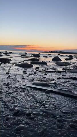 A video shows a rocky shore at sunset. The sky is a gradient of pale blue to orange. The water is calm and reflects the sky. Large, smooth rocks are scattered across the shore and in the water. Some blades of grass are visible near the water's edge. A piece of dark wood lies on the ground in the foreground.