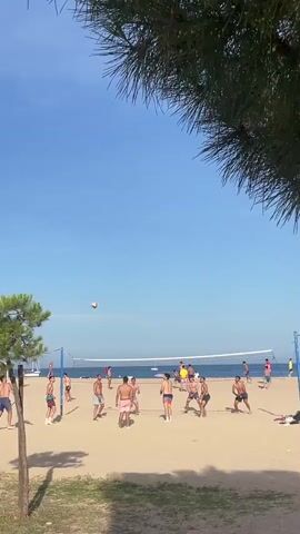 The video captures a beach volleyball game on a sunny day. The scene is set on a sandy beach with a clear blue sky. A volleyball net is stretched across the middle of the frame, dividing two teams of young men. The players are engaged in a game, with some in action, ready to hit the ball, while others are observing the game. There is a volleyball in the air. The foreground is dominated by a tree with green leaves, casting a shadow on the sand. In the background, the ocean is visible, with a few boats sailing on the water. Other people are seen relaxing on the beach in the distance.