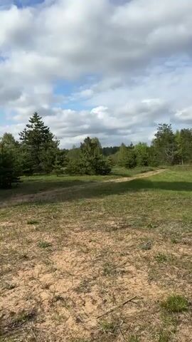 The video pans from a sandy clearing with sparse vegetation toward a lake in a wooded area. The lake is surrounded by trees, and the sky is partly cloudy. A sandy path leads down to a small beach. A person in a white shirt and dark pants is standing on the beach next to a black bag.
