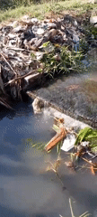 Bendungan snapshot: farmland, canals, and waste in one frame