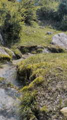 Morning nature documentation captured across Solang India mountain landscape