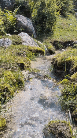 Morning nature documentation captured across Solang India mountain landscape