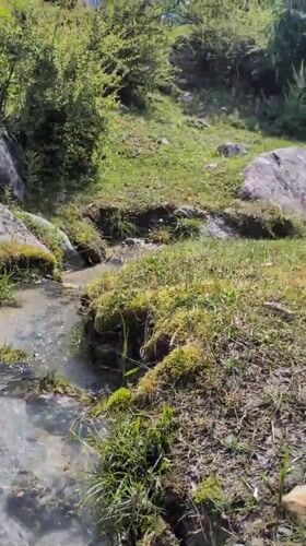 Morning nature documentation captured across Solang India mountain landscape