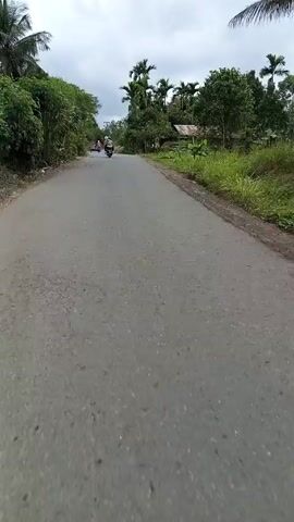 The video shows a motorcycle ride down a paved road. There are two other motorbikes visible in the distance ahead. The road is bordered on both sides by dense green vegetation, including trees, tall grasses, and banana plants. A small wooden building with a metal roof is visible on the right side of the road. The sky is overcast. The video is taken from the perspective of the rider.