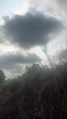 The video pans upward from tall grass and shrubbery to reveal a cloudy sky. It then focuses on a dirt road with tall grass and trees lining either side. The view shifts to the right, showing stacks of concrete blocks in a sandy area with scattered trees and a building in the distance. The sky remains cloudy throughout the video.