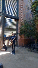 Street musician performs near historic Barcelona statue and garden