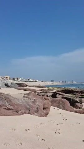 The video presents a serene view of a beach. The foreground features light tan sand marked with animal paw prints, interspersed with large, reddish-brown rocks covered in patches of green moss. The rocks lead toward a body of water, which is characterized by small waves. In the distance, a skyline of buildings and a coastal town is visible. The sky is a bright blue with scattered white clouds. A hand holding a fringed cloth briefly appears at the top of the frame at the end of the video.