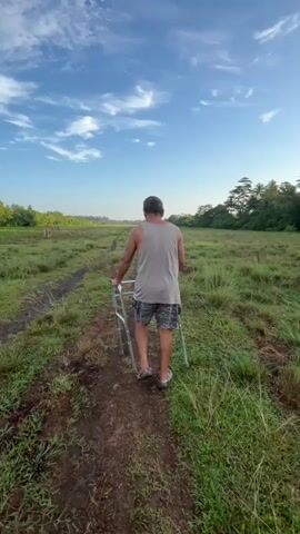 A person walks away from the camera on a dirt path through a grassy field. The person is wearing a gray tank top, patterned shorts, and sandals, and is using a walker. In the distance, to the left of the path, there are two brown animals. The sky is blue with white clouds. The scene appears to be outdoors in daylight.