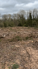 Woodland clearing documented in Pulverbatch with debris and stumps