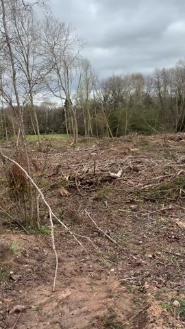 The video shows a recently cleared area of land, likely a woodland or forest. The ground is covered in scattered debris including branches, twigs, and woodchips. Tree stumps are visible throughout, indicating that trees have been cut down. The area is mostly dirt and mud. In the background, a line of trees remains standing, suggesting that only a portion of the area has been cleared. The sky is overcast, indicating a cloudy day. The camera moves slowly through the area, offering a view of the scale and extent of the clearing. There are no people, animals, or equipment visible in the video.