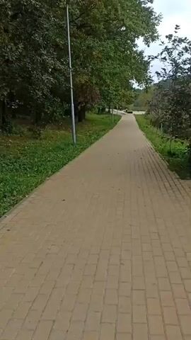 A paved walkway runs through a park-like setting. Trees line the left side of the walkway, and grass grows along the edges. On the right side, a body of water is visible, bordered by more trees and foliage. The sky is overcast. The camera appears to be moving forward along the walkway.