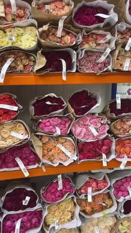 The media file captures a vibrant display of roses, neatly arranged in paper-wrapped bouquets on multiple shelves. The roses come in a rich spectrum of colors, including deep reds, various shades of pink and purple, creamy yellows, and soft peaches. Each bouquet is tagged with a white label, suggesting they are ready for sale or distribution.

The scene appears to be an indoor market or a wholesale flower distribution center, possibly in Vidnoye, Russia, given the location context. The lighting suggests it could be daytime, though there are no direct cues about the weather. The sheer volume and variety of roses create an atmosphere of abundance and beauty. There are no people visible in the frame, focusing all attention on the floral arrangements. The overall impression is one of a well-organized and visually appealing presentation of fresh flowers.