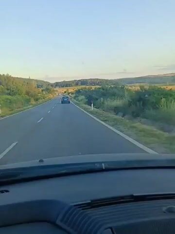 This is a first-person perspective video taken from inside a car driving on a road. The road is paved and has white lane markings. On either side of the road are grassy verges with trees and bushes. Beyond the verges, there are fields and rolling hills in the distance, suggesting a rural or semi-rural setting.

There are other cars visible on the road, with one car in front of the viewpoint car and a few cars further ahead. The time of day appears to be late afternoon or early evening, as the sun is low in the sky, casting a warm light and long shadows. The sky is clear and blue, with no visible clouds, indicating fair weather.

The overall mood of the video is peaceful and suggests a scenic drive through the countryside. The location is identified as Zavidovtsi, Bulgaria. There is no visible text within the video. The video captures the everyday activity of traveling by car through a picturesque landscape.