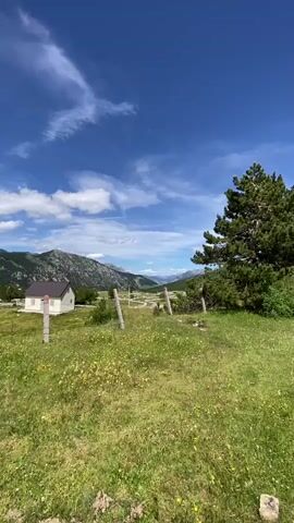 A video shows a wide shot of a grassy field with a small house and a fence in the foreground. In the background, mountains are visible under a blue sky with scattered clouds. A large evergreen tree stands to the right of the frame. The overall scene suggests a rural or mountainous landscape during the daytime.
