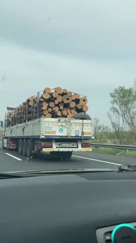 From the perspective of a driver in a car, a semi-truck hauling a load of logs drives on a highway. The truck is white with a black and white decal towards the back, and it is overloaded with logs, secured by metal bars. The road appears to be a highway, lined with trees on the side. The sky is overcast. The car's dashboard is visible at the bottom of the frame.