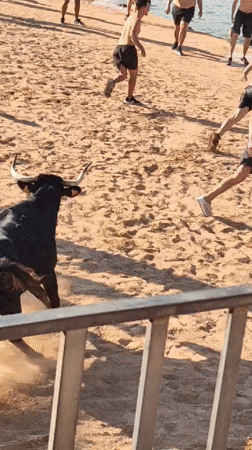 Bulls hit the beach at Dénia's waterfront festival