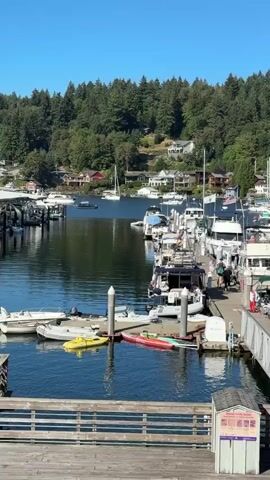 The video shows a marina on a sunny day with a clear blue sky. A wooden pier is in the foreground, with a small utility box on its edge. Beyond the pier is a floating dock with numerous boats moored, including several large yachts and smaller motorboats. Some people are walking on the dock, and others are visible on the boats. Two people are in kayaks on the water. In the background, a densely forested hillside rises from the water's edge, with houses visible among the trees. The water is calm and reflects the sky and surrounding scenery.