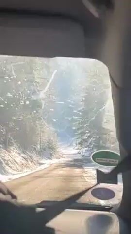 The video shows a view from inside a vehicle, likely a car or truck, driving on a road through a snowy forest. The road is mostly clear, but snow is visible on the sides of the road and on the trees. The windshield is somewhat dirty, with what appears to be dried residue obscuring the view. A green and white sticker is visible on the lower right corner of the windshield. The sun is shining, creating a bright, somewhat hazy light through the trees.