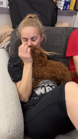 Evening domestic life with pet poodle documented in Ruse apartment