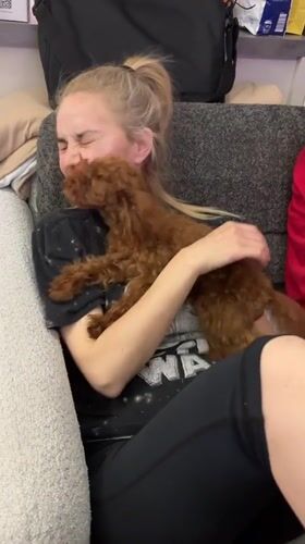 Evening domestic life with pet poodle documented in Ruse apartment
