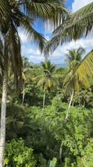 Aerial view captures tropical landscape in Dampahala, Sri Lanka