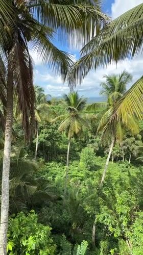 Aerial view captures tropical landscape in Dampahala, Sri Lanka