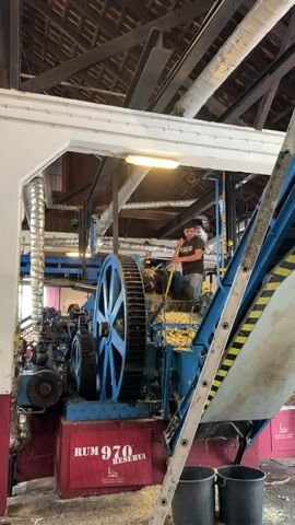 The video shows a man standing on a blue industrial machine and using a yellow tool to push what looks like sugar cane into the machine. The machine has large gears, and the squeezed cane comes out the other side. The machine has a red box with “RUM 970 RESERVA” written on it. The scene is indoors, with pipes and beams visible in the ceiling. A ladder is positioned on the side of the machine.