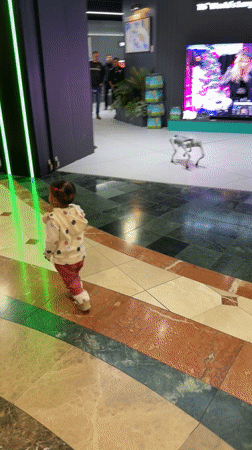 Robotic dog demonstration draws crowds at Milnerton shopping mall