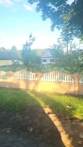 The video captures a rural landscape with a moving perspective. Several houses are visible, some with yellow exteriors and light-colored roofs. A decorative fence, composed of beige and white elements, runs along the foreground, separating the viewer's path from the properties. Trees, some with visible fruit, and lush green grass are abundant. The sky is a clear blue with scattered white clouds, suggesting daylight, possibly morning or late afternoon given the lighting. The overall impression is of a peaceful, agrarian setting.