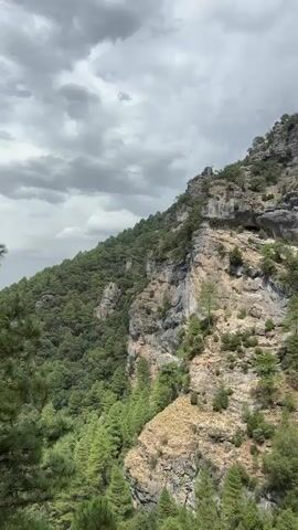 The video pans upwards to reveal a steep, rocky cliff face partially covered in trees and vegetation. The sky above is overcast with gray clouds. The cliff is composed of layers of rock, with some areas showing evidence of erosion and water streaks. Small trees and bushes are growing out of crevices and ledges on the cliff face. In the foreground, there is denser green foliage, obscuring parts of the lower cliff. The camera movement is smooth and steady, capturing the vastness of the natural landscape. There are no people or man-made objects visible in the video. The environment appears to be a natural canyon or gorge.