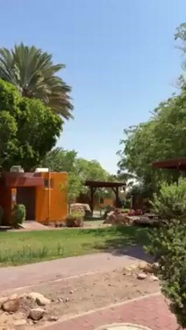 Here is a description of the video:

The video shows a tranquil outdoor scene, likely a park or garden area, bathed in bright sunlight under a clear blue sky. The foreground features a pathway constructed of reddish-brown paving stones, possibly bricks or tiles. Bordering the path are patches of green lawn interspersed with various trees and shrubbery, creating a lush, natural setting.

The background includes several structures, including a building painted in a bright orange hue. This building is positioned amidst the greenery and appears to be a utility building or perhaps part of a restroom facility. To the right of the building, a wooden pergola structure stands, possibly providing shade over a seating area or garden feature.  

Palm trees stand tall within the foliage, their iconic fronds adding to the tropical or semi-arid ambiance of the location. The overall impression is one of a well-maintained, serene outdoor space designed for relaxation and enjoyment.