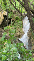 Visitors document scenic waterfall amid lush forest near Bachkovo