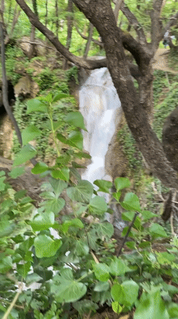 Visitors document scenic waterfall amid lush forest near Bachkovo