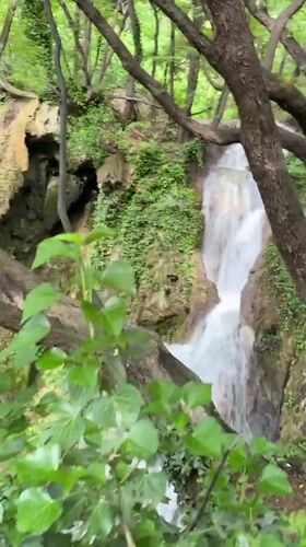 Visitors document scenic waterfall amid lush forest near Bachkovo