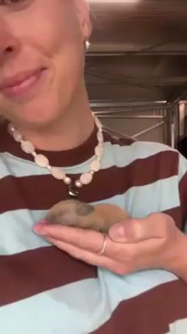 A woman with blond hair and blue eyes is holding a small, newborn rabbit in her hand. She is wearing a brown and light blue striped shirt and a pearl necklace with a silver pendant. She is smiling slightly at the camera. The background appears to be an enclosed outdoor space, possibly a barn or shed, with a metal grate or gate visible. The rabbit is a light brown color and appears to be sleeping in her palm.